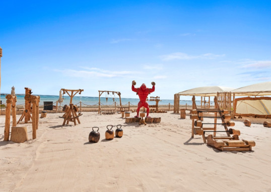 RIXOS PREMIUM SEAGATE SHARM 93