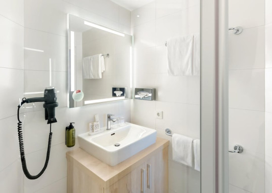 FOUR POINTS FLEX BY SHERATON SALZBURG 30