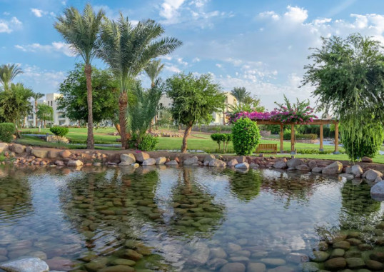 AURORA ORIENTAL RESORT SHARM EL SHEIKH 6