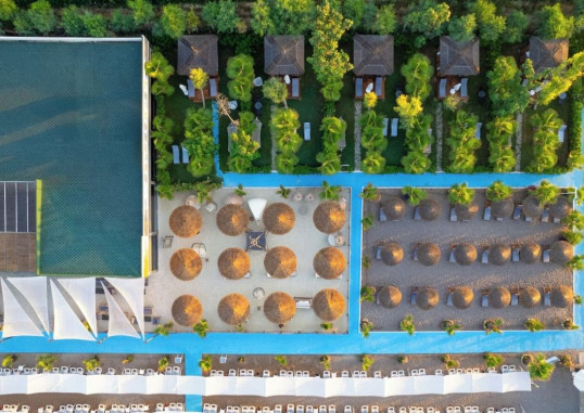 DELPHIN IMPERIAL 18