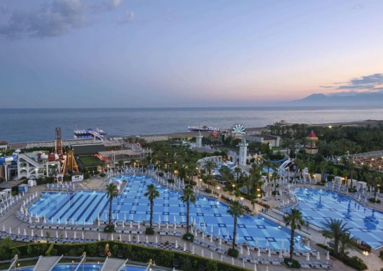DELPHIN IMPERIAL 19