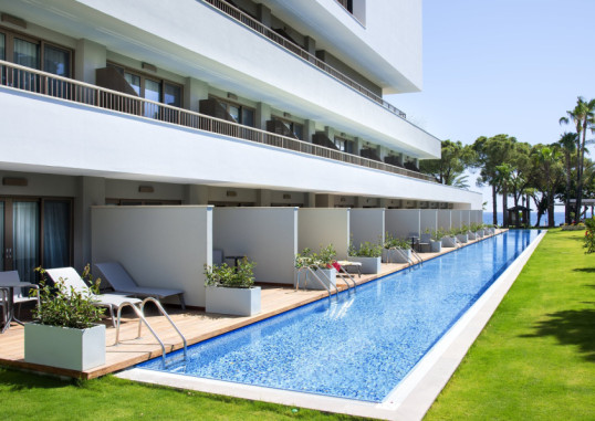 ACANTHUS CENNET BARUT 20