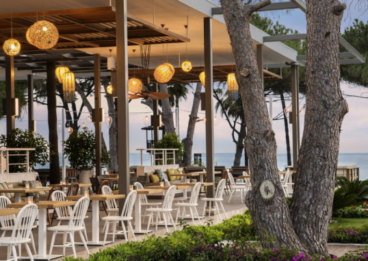ACANTHUS CENNET BARUT 35