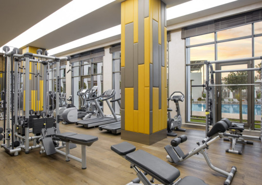 ACANTHUS CENNET BARUT 58