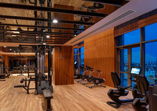 REGNUM CARYA 11