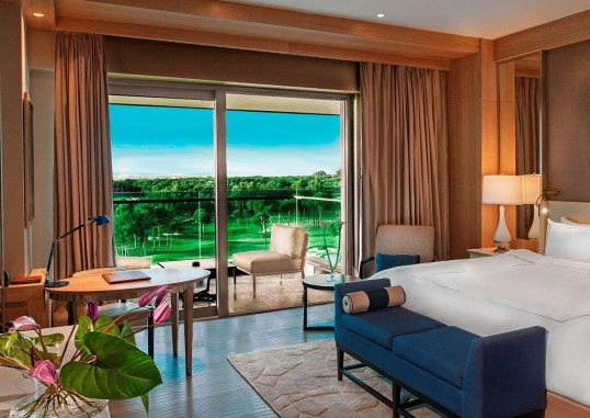 REGNUM CARYA 15