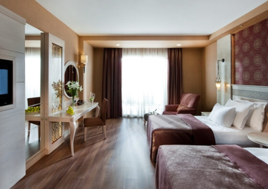 Deluxe Family Room 3