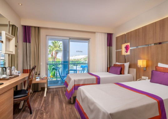 Standard Handicapped Room 1