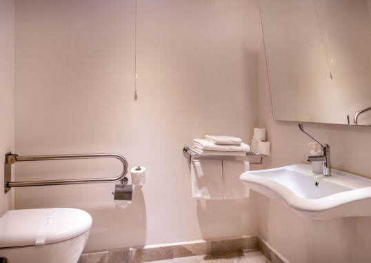 Standard Handicapped Room 5