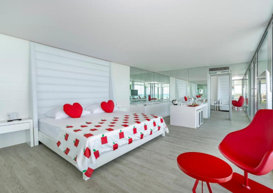 Design Suite 1