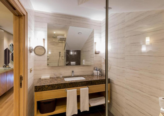 Deluxe Family Room 3