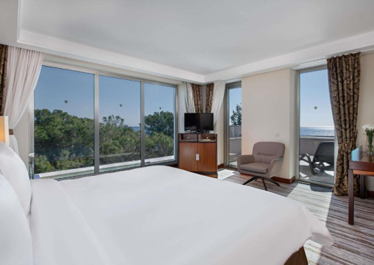 King Suite 3