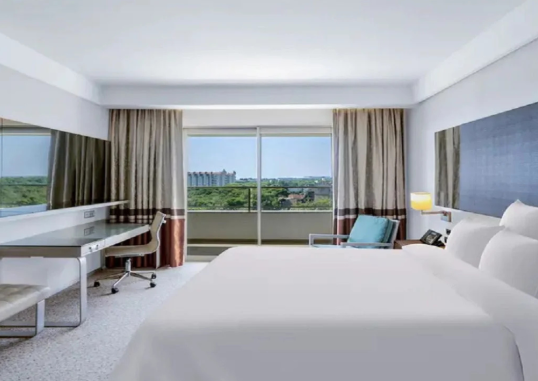 Superior Suite 1