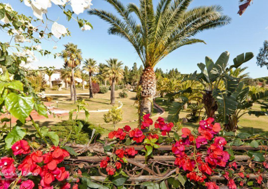 BAIA DELLE PALME 9