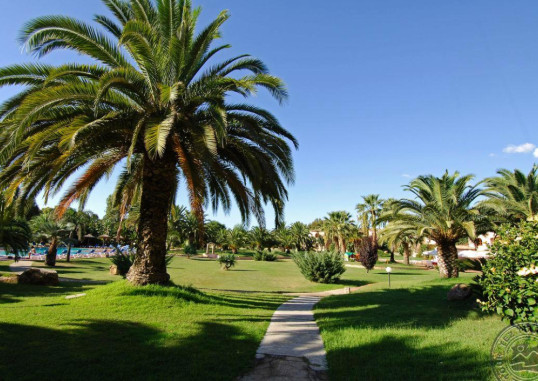 BAIA DELLE PALME 24