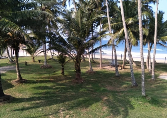 GIRAGALA VILLAGE HOTEL 8