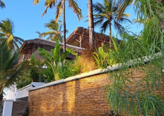 ALUNA PAJE 5