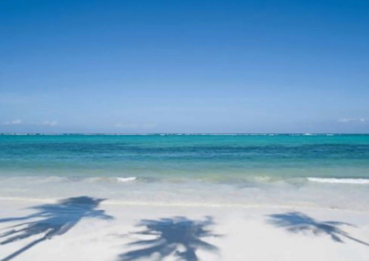 BARAZA RESORT AND SPA ZANZIBAR 24