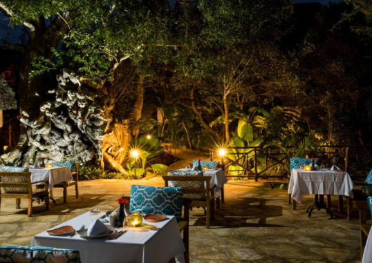 TIKITAM PALMS BOUTIQUE HOTEL (ADULTS ONLY 16+) 16