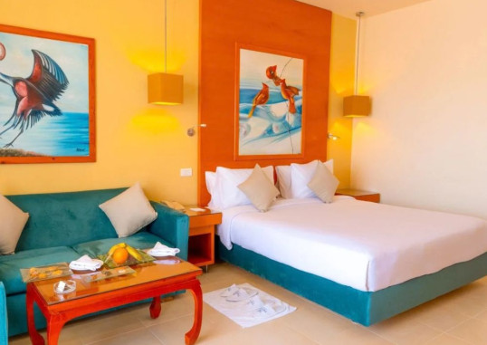 Standard Garden View Room 1
