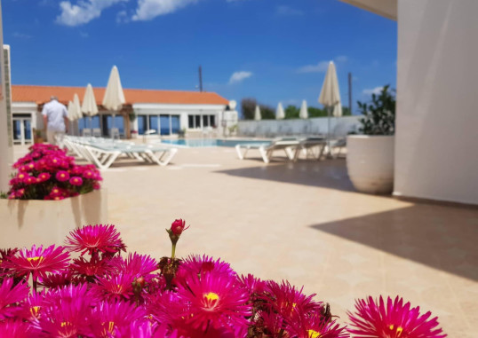 KASAPAKIS HOTEL & APARTMENTS 13