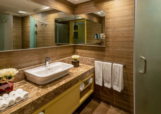 Deluxe Room 2