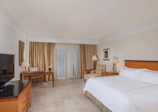 Executive Suite Adult 1