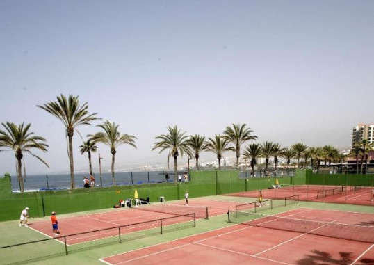 H10 LAS PALMERAS 3