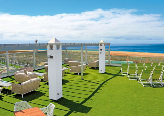 LEMON & SOUL CACTUS GARDEN 2