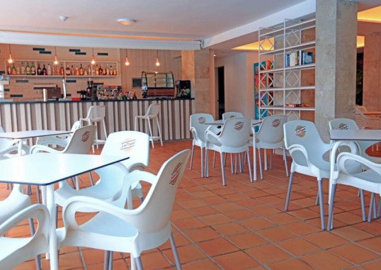 LEMON & SOUL CACTUS GARDEN 3