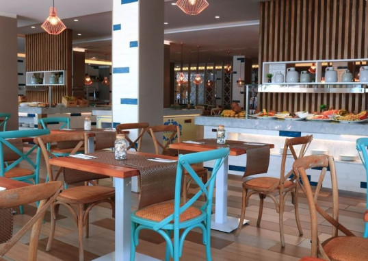 LEMON & SOUL CACTUS GARDEN 5