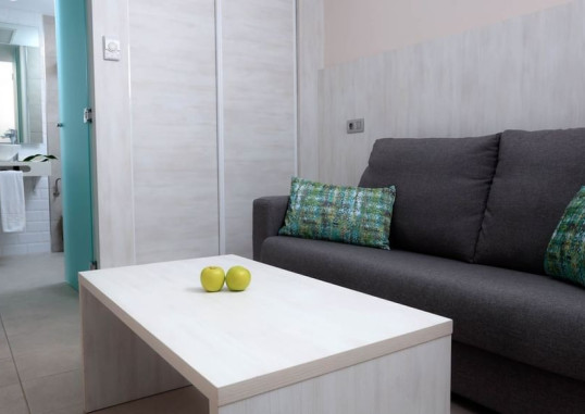 LEMON & SOUL CACTUS GARDEN 6