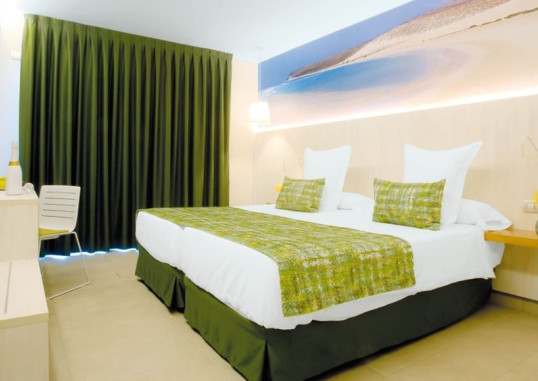 LEMON & SOUL CACTUS GARDEN 8