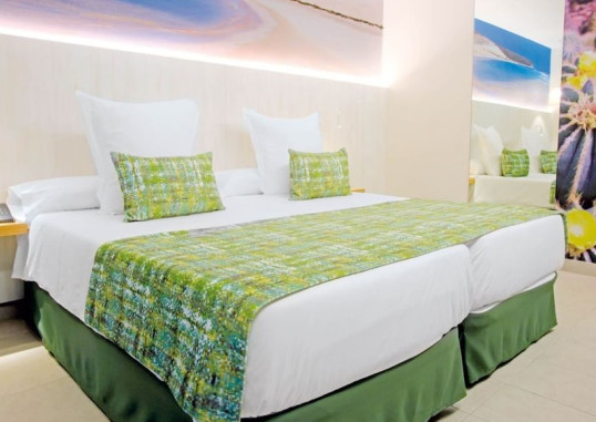 LEMON & SOUL CACTUS GARDEN 10