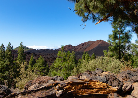 Tenerife Spānija 4