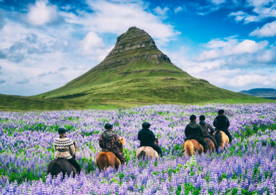 Reikjavīka Islande 2