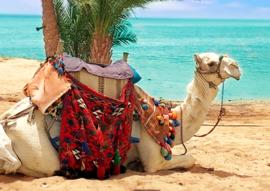 Marsa Alam Ēģipte 4