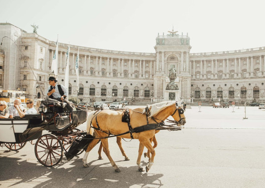Vīne Austrija 6