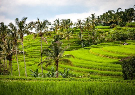 Bali Indonēzija 13