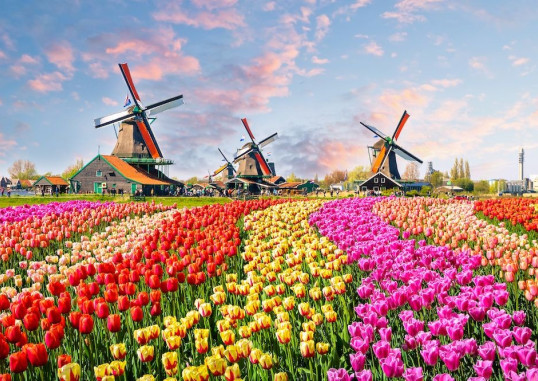 Amsterdama Nīderlande 1