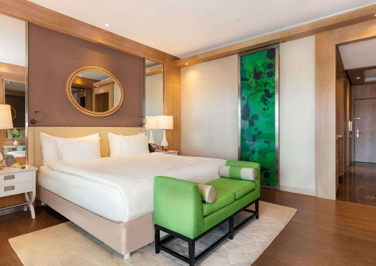 REGNUM CARYA 8
