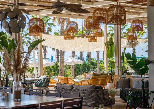 REGNUM CARYA 26