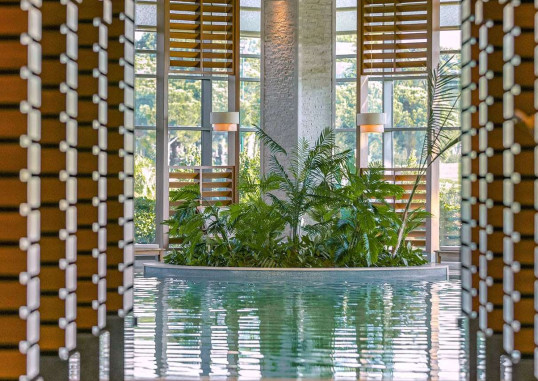 REGNUM CARYA 27