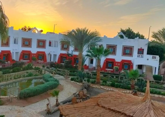 SHARM INN AMAREIN 16