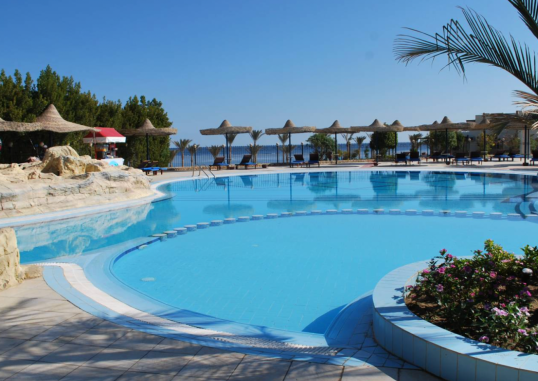 BLEND ELPHISTONE MARSA ALAM 4