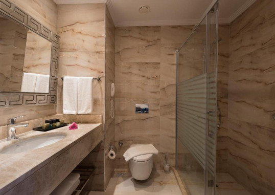 OZ HOTELS SUI 8