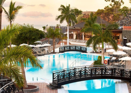 MELIA JARDINES DEL TEIDE (ADULTS ONLY) 24