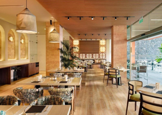 MELIA JARDINES DEL TEIDE (ADULTS ONLY) 16