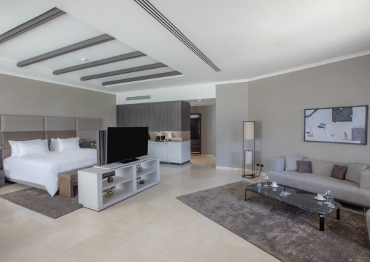 PICKALBATROS LUXURY SUITES 14