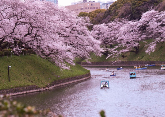 Tokija Japāna 9